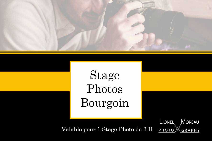 1 Stage Photo de 3 Heures